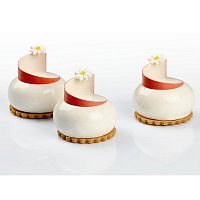Форма силиконовая PAVOFLEX для пирож. 3D "Планета" d66мм h34мм, 93мл, 12 ячеек PX4321S